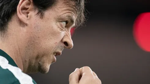 Foto: Jorge Rodrigues/AGIF - Diniz (foto) indicou Rigoni, antigo alvo do Santos de Bustos