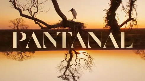 Amigos se encontram todo dia em bar para assistir 'Pantanal'. Imagem: Reprodução TV Globo