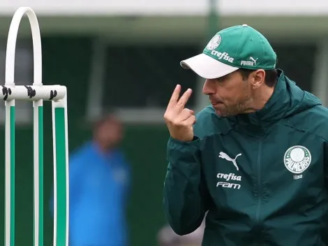 Campeonato Brasileiro: Palmeiras x Botafogo; prognósticos do jogo que o Verdão precisa aproveitar o vacilo dos adversários