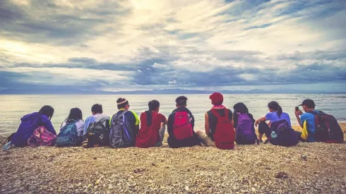 Amizade à primeira vista não é raro de acontecer. Foto: Pixabay.