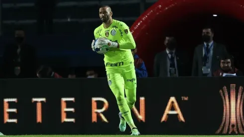 Palmeiras x Cerro Porteño: prognósticos de um jogo onde os brasileiros tem grande vantagem (Foto: Cesar Greco/Palmeiras))