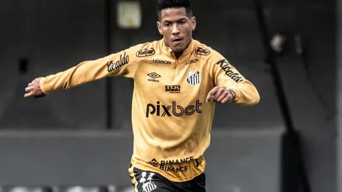 Foto: Ivan Storti/Santos FC