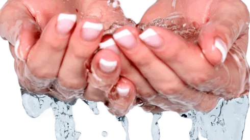 Foto: reprodução Pixabay