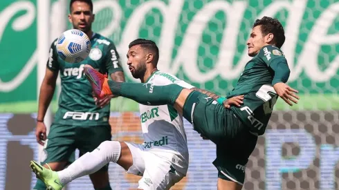 Palmeiras x Cuiabá; prognósticos do jogo que fecha a 17ª rodada (Foto: Cesar Greco/Palmeiras)