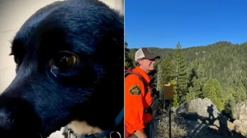 O homem estava coberto por lona camuflada. Fotos: Reprodução/Facebook/Nevada County Sheriff's Search & Rescue