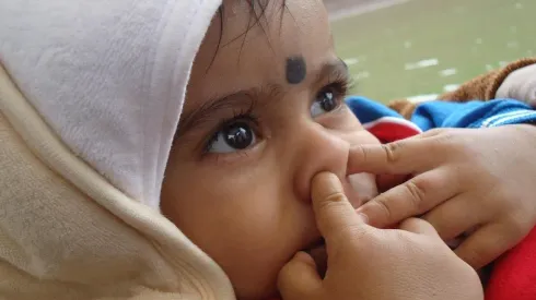 Foto: reprodução Pixabay