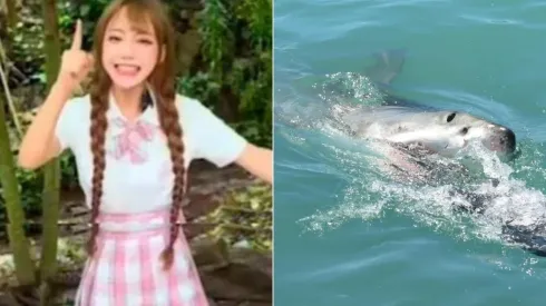 Fotos: Reprodução/Douyin e Reprodução/Pixabay