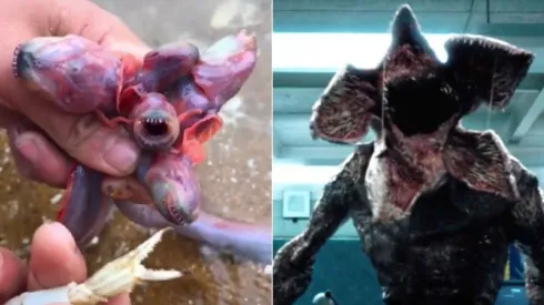 Foto 1: Reprodução/TikTok (@sea.thinh1aq) | Foto: Reprodução/Netflix