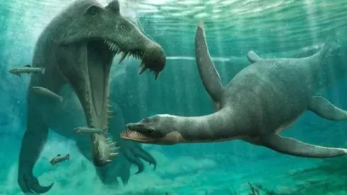 Foto: Divulgação/Universidade de Bath