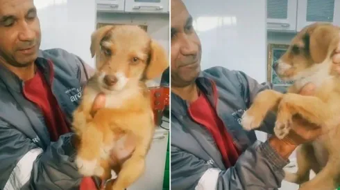 Luana filmou o momento em que pai traz cachorrinha adotada para casa