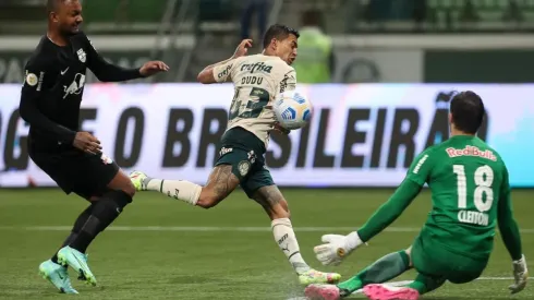 Bragantino x Palmeiras; prognóstico do jogo da 25ª rodada do Brasileirão (Foto: Cesar Greco/Pameiras)
