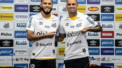 Flickr Oficial do time: Ivan Storti/Flickr Oficial Santos - Santos deve ter mudanças no time