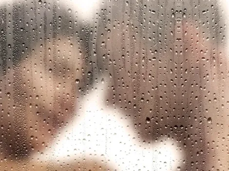 Ministra do Meio Ambiente da Suíça recomenda banho coletivo para economizar energia