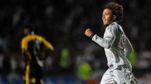 Agif/Thiago Ribeiro - Vasco está perto de retornar à Série A