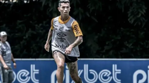 Foto: Ivan Storti/Santos FC