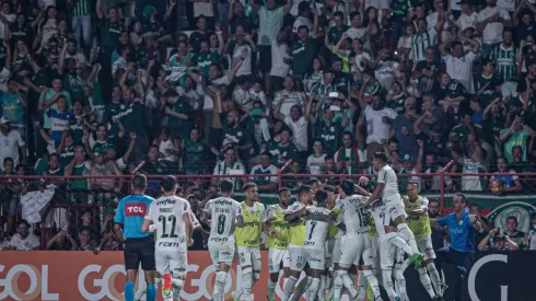 Foto: Isabela Azine/AGIF - Palmeiras conquistou o Brasileirão de 2022