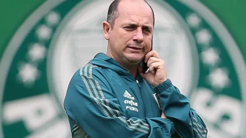 Foto: Flickr Oficial Sociedade Esportiva Palmeiras