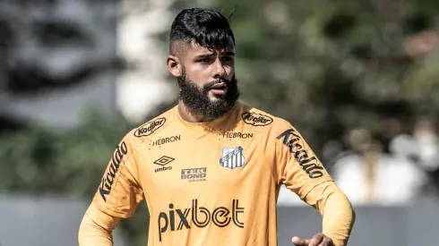 Foto:Ivan Storti/ Santos/FC