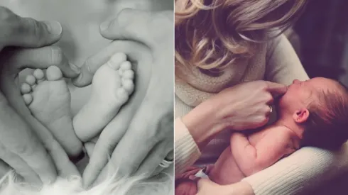 Imagem: Reprodução/Pixabay