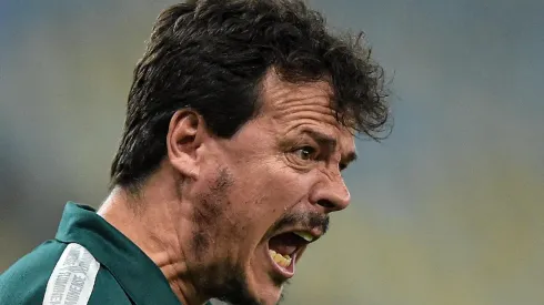 Thiago Ribeiro/AGIF - Diniz no Fluminense.