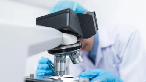 Foto: Reprodução/Pexels