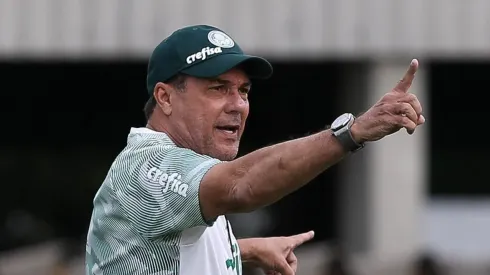 Foto: César Greco/ Palmeiras