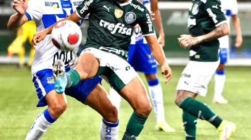 (Foto: Alexandre Battibugli/Ag. Paulistão - Flickr Palmeiras)