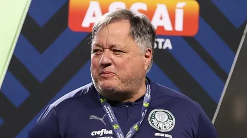 Foto: Flickr oficial Palmeiras