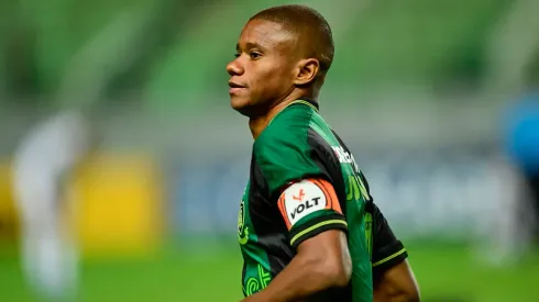 f: Mourão Panda / América