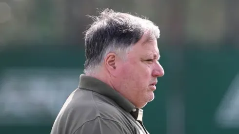 Foto: Cesar Greco / Palmeiras