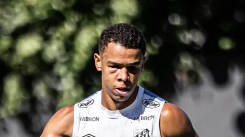 Fotos: Raul Baretta/ Santos FC. - Sandry aparece no CT do Santos