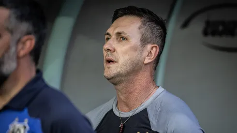 Foto: Raul Baretta/ Santos FC