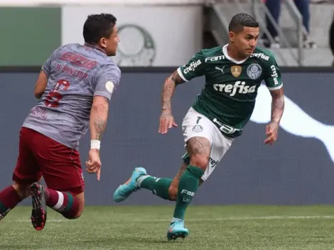 FLUMINENSE x PALMEIRAS pelo Campeonato Brasileiro; Onde assistir AO VIVO, raio-x e mais