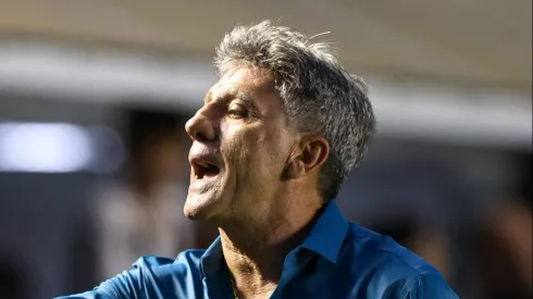 SP - SANTOS - 20/08/2023 - BRASILEIRO A 2023, SANTOS X GREMIO - Renato Gaucho tecnico do Gremio durante partida contra o Santos no estadio Vila Belmiro pelo campeonato Brasileiro A 2023. Foto: Fernanda Luz/AGIF