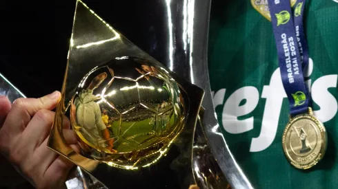 Jogadores do Palmeiras celebram título do Brasileirão Série A 2023 após vencerem o Cruzeiro no Mineirão. Fernando Moreno/AGIF