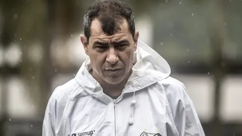 Carille está na mira do Santos - Foto: Ivan Storti/Santos FC