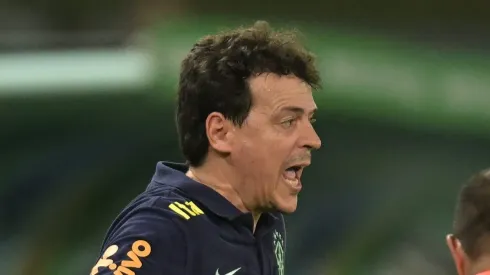 Photo by Pedro Vilela/Getty Images – Fernando Diniz perdeu nome na Seleção Brasileira