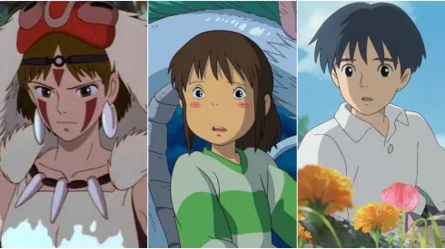 同社のカタログには『ともだちトトロ』や『千と千尋の神隠し』などの映画が含まれています。