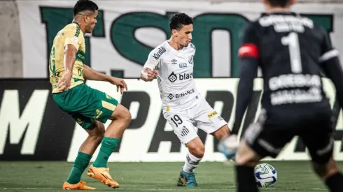 Santos x Cuiabá pela 32ª rodada do Campeonato Brasileiro; Onde assistir AO VIVO, horário e escalações - Foto: Santos/Twitter