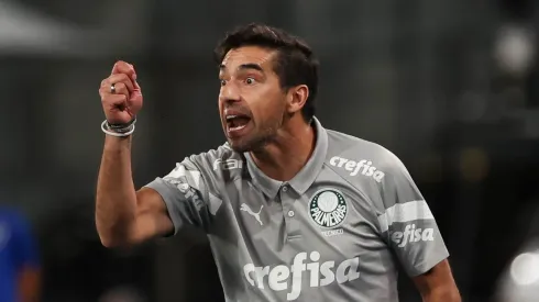 Abel está na mira de Texto para dirigir o Botafogo em 2024- Foto: Cesar Greco/Palmeiras.