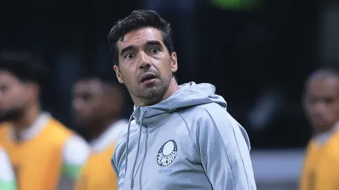 Palmeiras de Abel tem chances altas de ficar com a taça -Foto: Ettore Chiereguini/AGIF