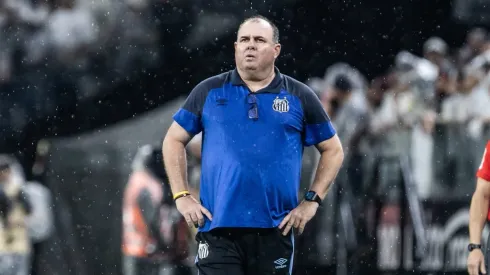 Marcelo Fernandes pode ter reforços no Santos contra o Botafogo – Foto: Abner Dourado/AGIF