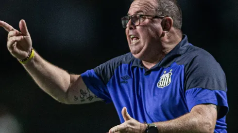 Santos de Marcelo Fernandes encontra 'brecha' para classificar na Copa do Braisl - Foto: Isabela Azine/AGIF