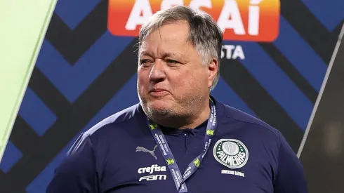 Dirigente do Palmeiras não é bem visto pela torcida - (Foto: Cesar Greco/Palmeiras/by Canon).