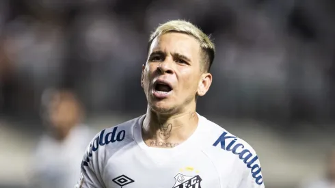 Foto: Abner Dourado/AGIF - Soteldo comemorando gol do Santos em partida pelo Campeonato Brasileiro