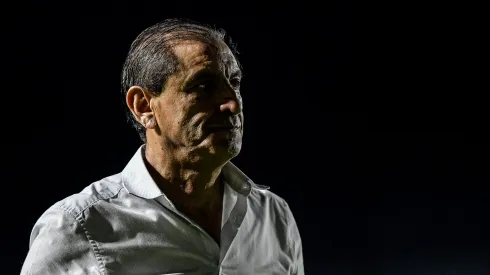 Em caso de vitória contra o Grêmio, o Vasco pode garantir a permanência na Série A. Foto: Thiago Ribeiro/AGIF