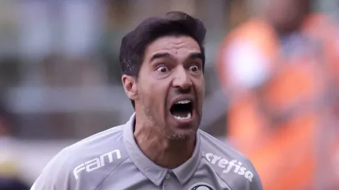 Abel Ferreira, treinador e ídolo do Palmeiras
Foto: Alexandre Schneider/Getty Images)