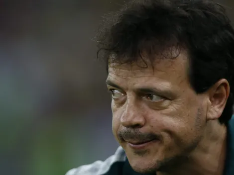 Diniz pensa 'longe' e contata meia de 22 anos para o Flu