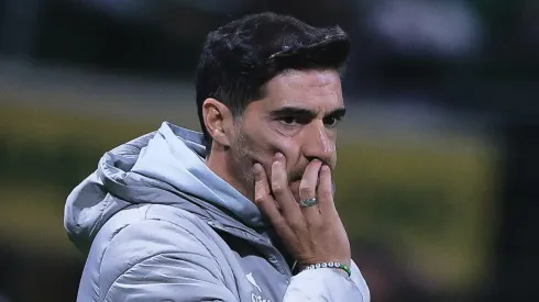 Técnico do Palmeiras avisou a diretoria - Foto: Ettore Chiereguini/AGIF.