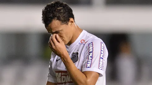 Leandro Damião é polêmico sobre sua época no Santos. . Foto: Mauro Horita/AGIF